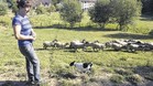 Maider Unda, con sus ovejas